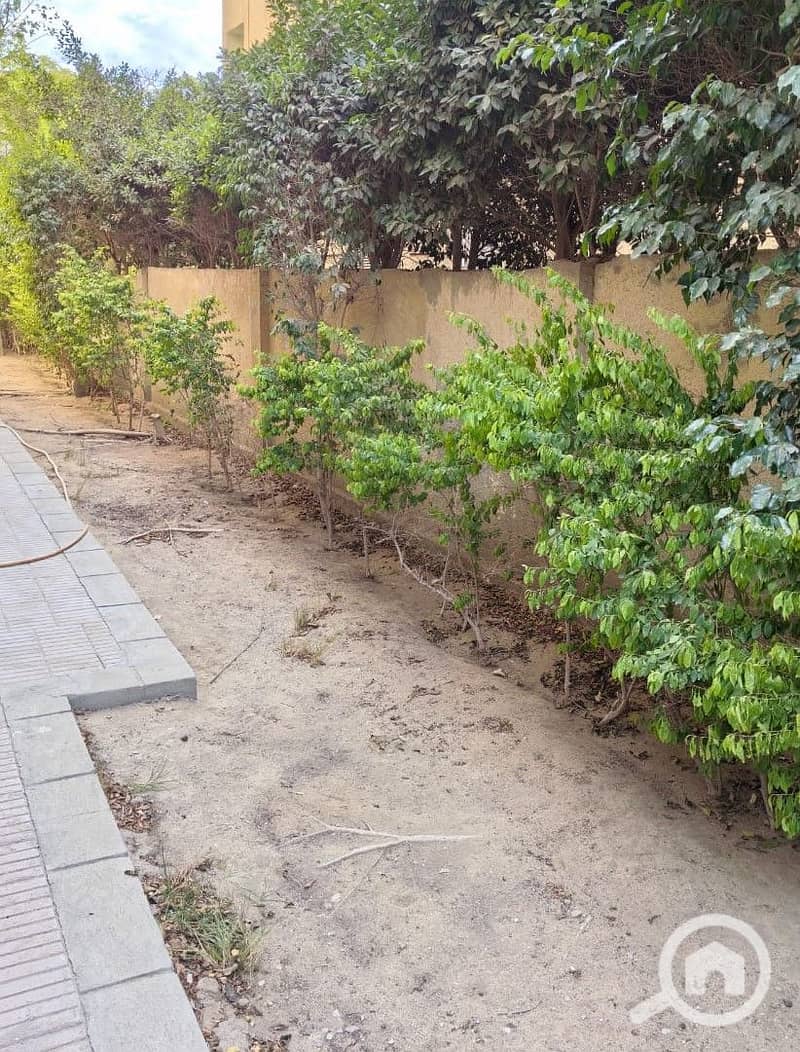 4 WhatsApp Image 2026-01-11 at 8.32. 01 PM. jpeg