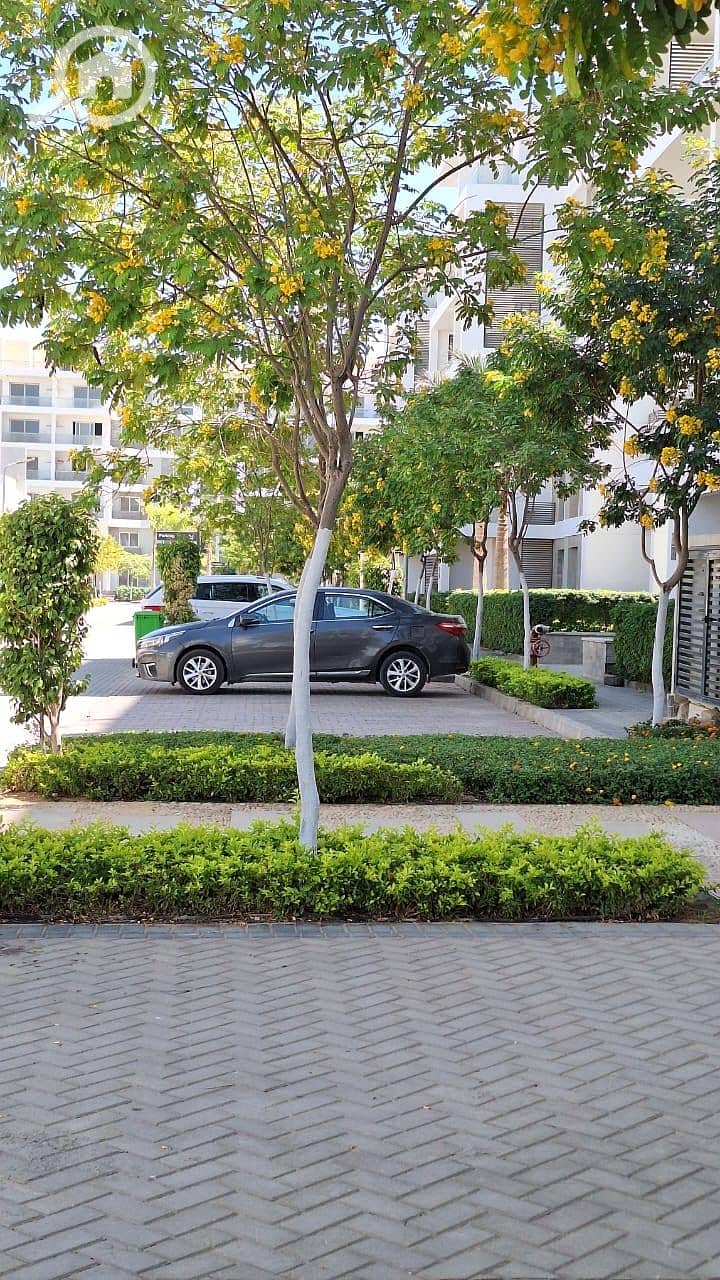 5 3ca693c0-81a4-4aad-96dd-dc361c8395e2. jpeg