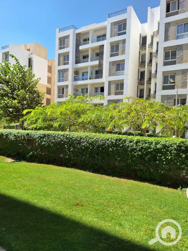 7 8dd2115e-8f6d-4400-bc67-60a8f682b145. jpeg