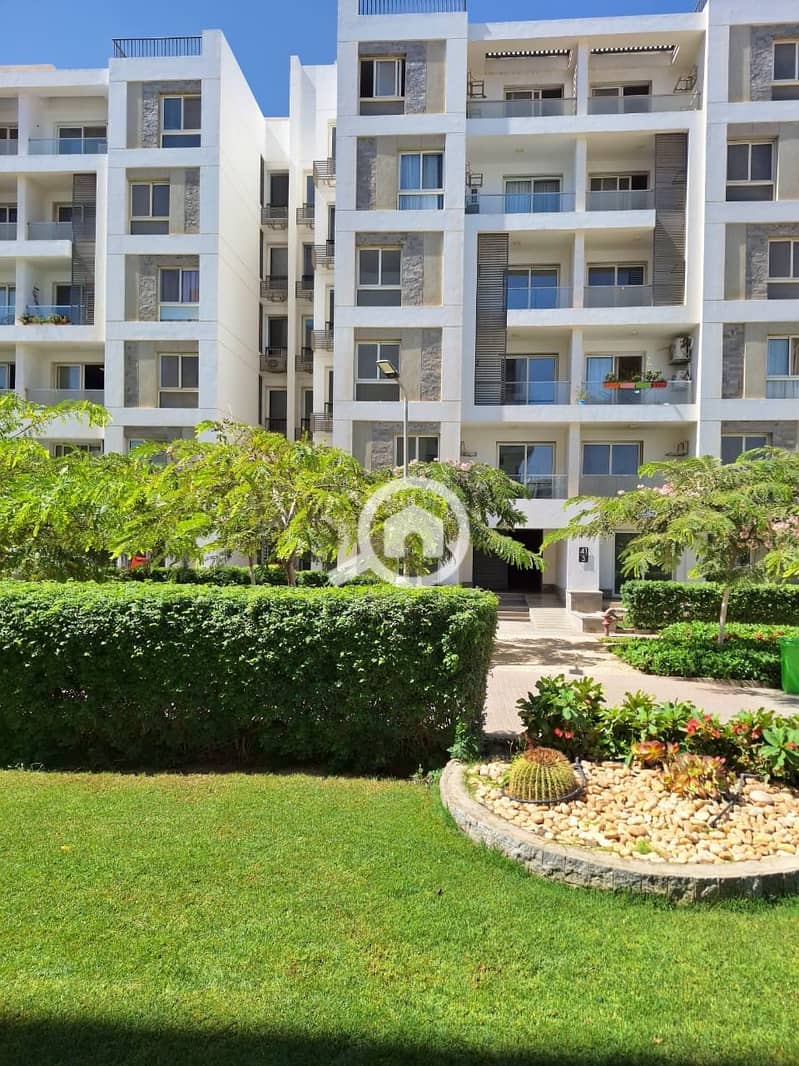 8 034fddf8-7de7-4847-b5a9-43f0da57f5e5. jpeg