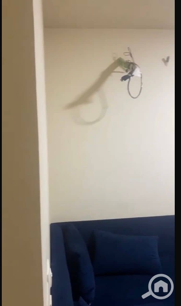 9 WhatsApp Image 2026-01-28 at 5.09. 36 PM (1). jpeg