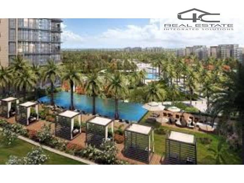 10 zedwest9. jfif. jpg