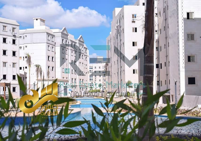 6 36403446-800x600. jpeg