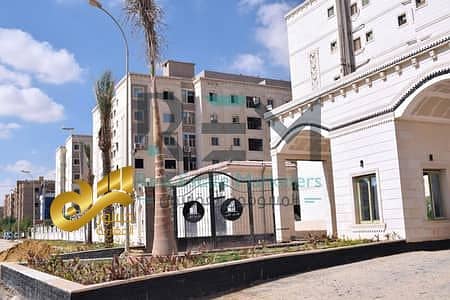 7 36403445-400x300. jpeg