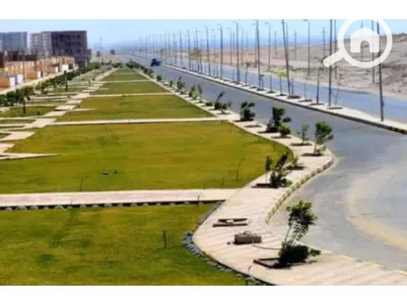 8 7279871-d7d26o. jpg