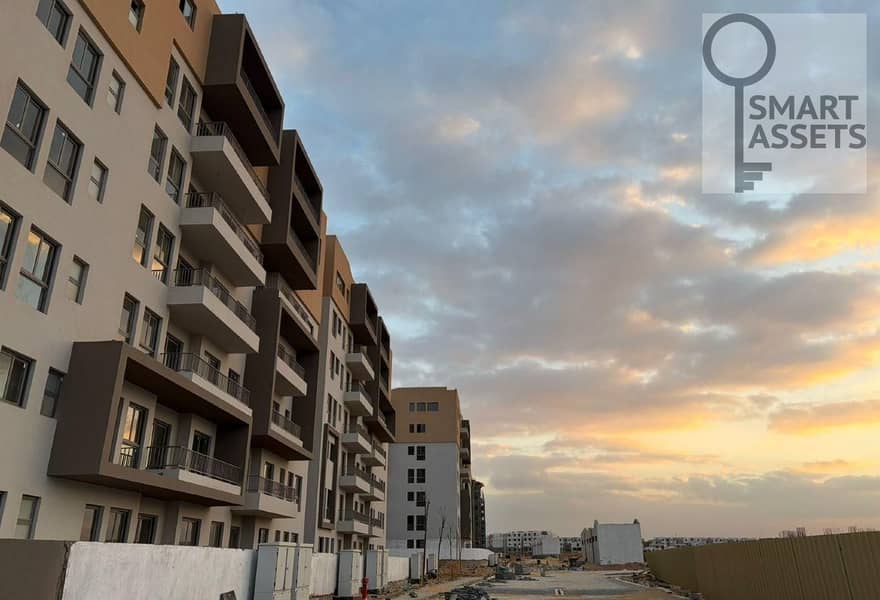 2 8556839-05ef6o. jpg