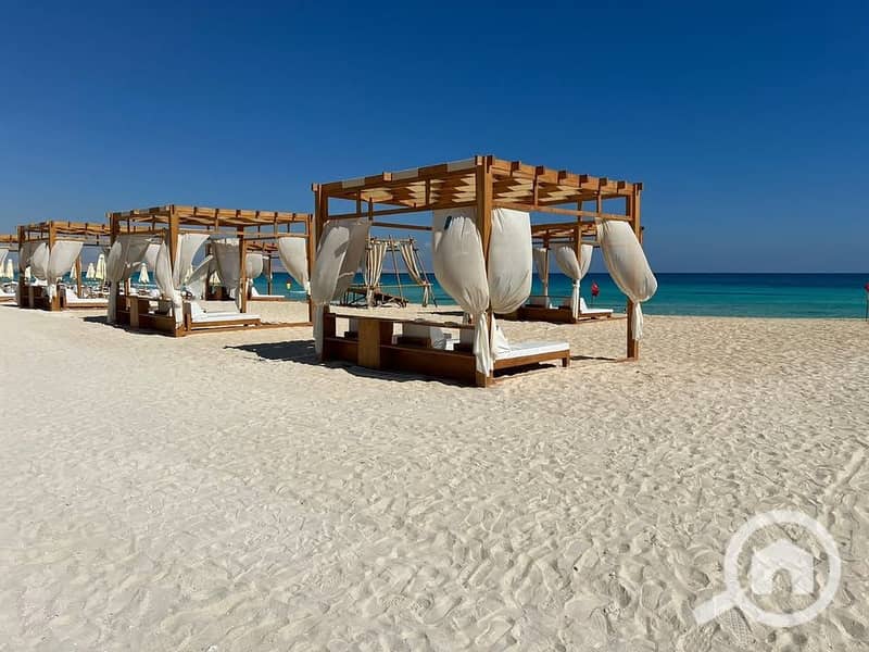 8 622745621_868064549271765_3040994453841859589_n. jpg