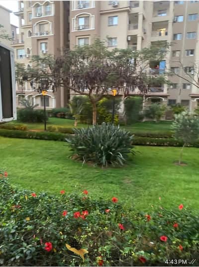 2 Bedroom Flat for Sale in Madinaty, Cairo - 1000242315. jpg 2 Bedroom Flat for Sale in Madinaty, Cairo - 1000242315. jpg