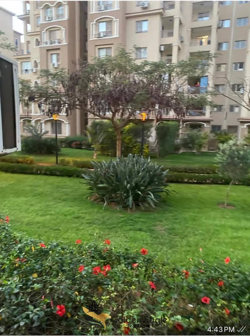 1000242315. jpg 1000242315. jpg