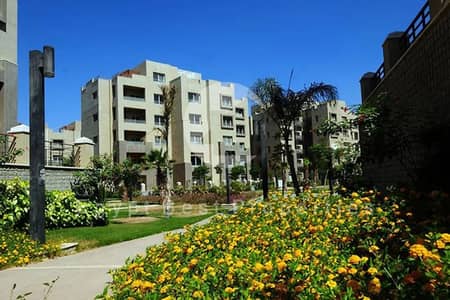 استوديو  للبيع في العاصمة الإدارية الجديدة، القاهرة - image - 2026-01-28T183654.199. png