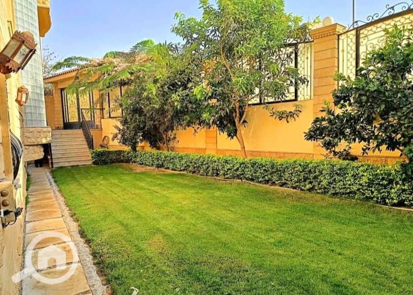 7 2323391d-243e-48fd-9c79-f3443bd8bb4e. jpeg