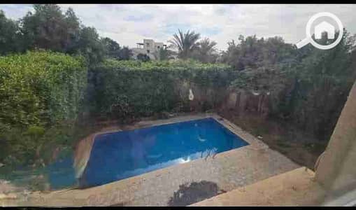 4 Bedroom Villa for Rent in Madinaty, Cairo - 344673. jpg 4 Bedroom Villa for Rent in Madinaty, Cairo - 344673. jpg