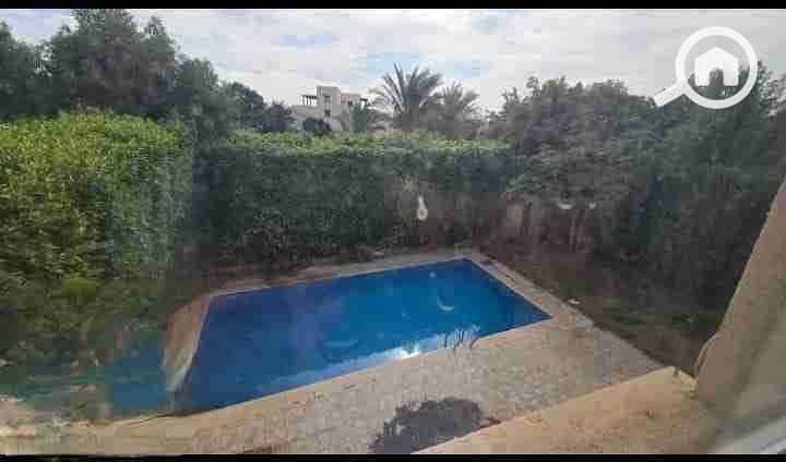 344673. jpg 344673. jpg