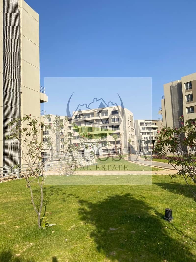 11 WhatsApp Image 2024-10-09 at 4.53. 18 AM (2). jpeg