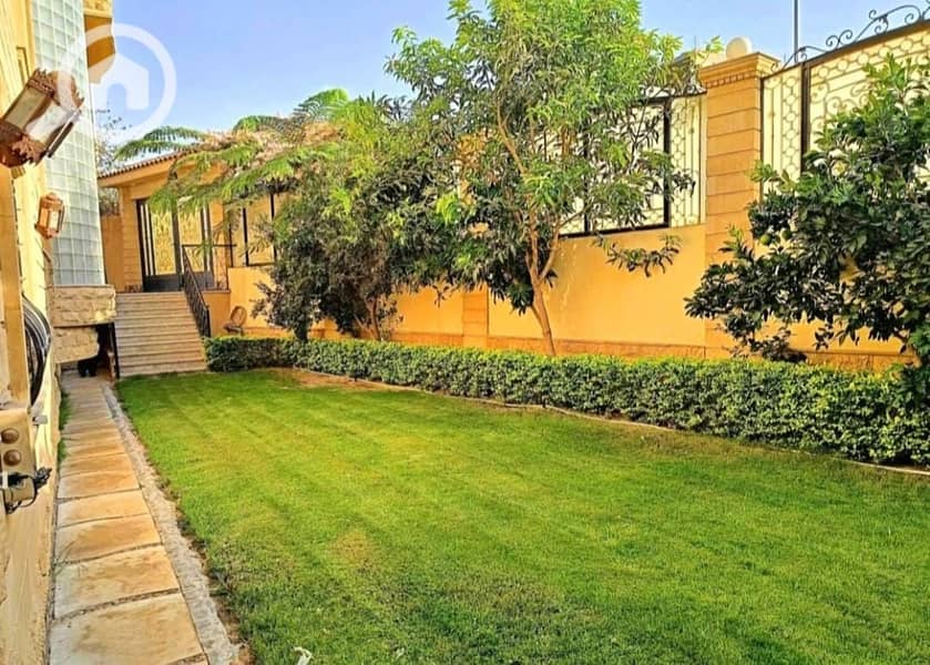 6 2323391d-243e-48fd-9c79-f3443bd8bb4e. jpeg