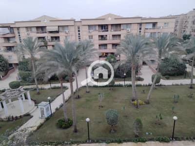 فلیٹ 2 غرفة نوم للايجار في القاهرة الجديدة، القاهرة - WhatsApp Image 2026-01-28 at 7.54. 50 PM. jpeg