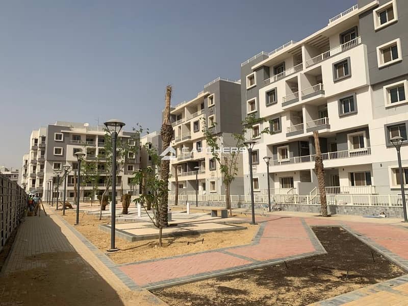 11 WhatsApp Image 2025-02-12 at 22.45. 03_8d67e712. jpg