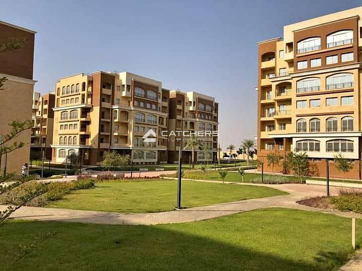 3 385541634_6670937343021254_5194729695851060788_n. jpg