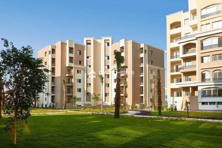 5 WhatsApp Image 2024-10-21 at 3.42. 17 PM (4). jpeg