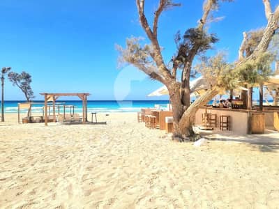 1 Bedroom Chalet for Sale in North Coast, Matruh - IMG-20250813-WA0129. jpg