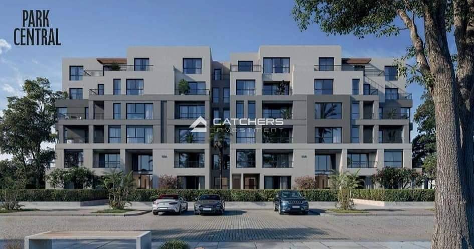 13 461843109_1204269857312380_2943616089653557321_n. jpg