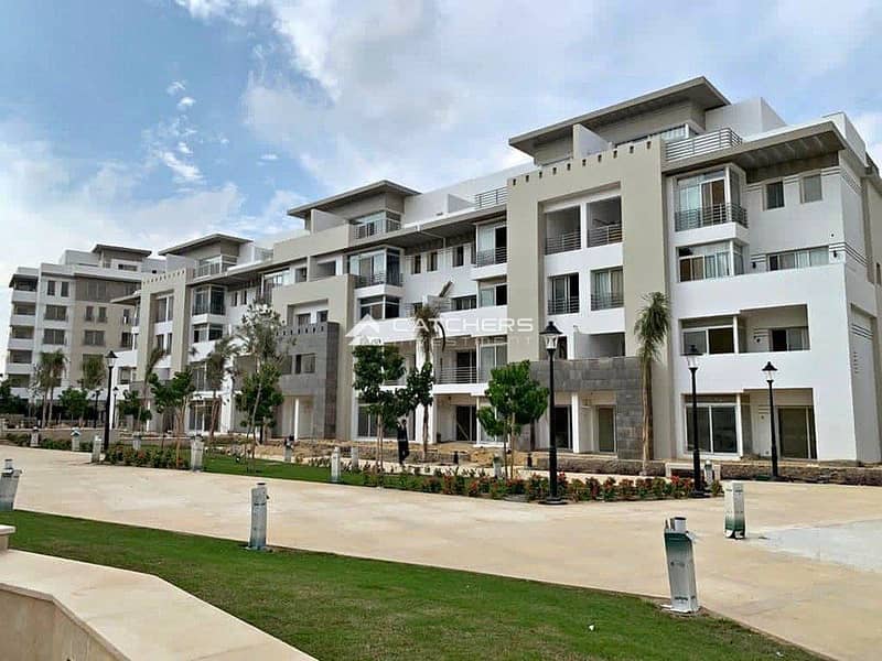 3 380333048_6803445759701950_4141167743287565059_n. jpg