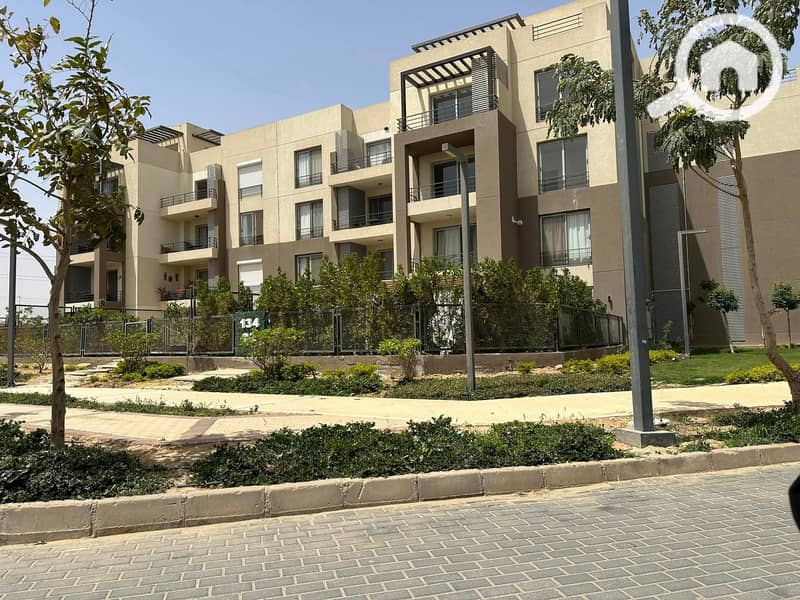 3 441542826_10229698435501010_3578984239657540334_n. jpg