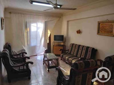 2 Bedroom Flat for Rent in Nakheel, Alexandria - 1000569733. jpg