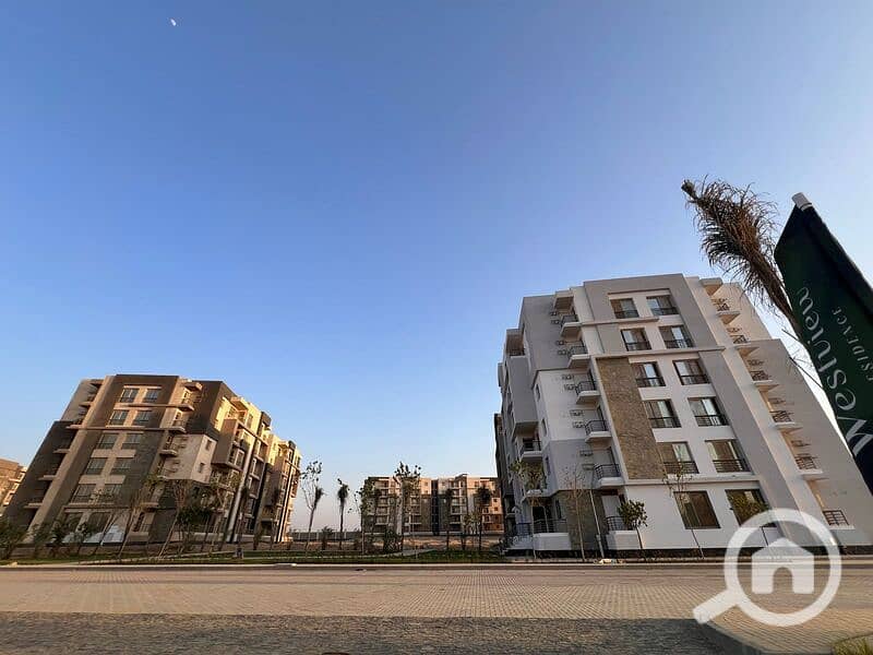 11 f928d956-3c9c-4d66-a0f0-d74cec721826. jpg