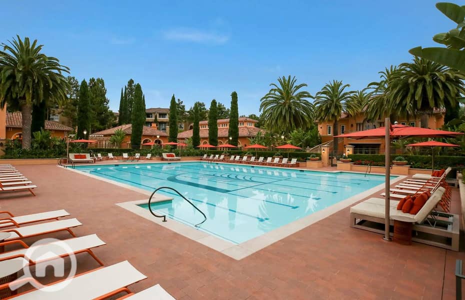 4 473160829_930928529102897_7881900079448038952_n. jpg