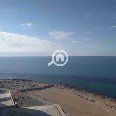 3 Bedroom Flat for Rent in Miami, Alexandria - 1000202225. jpg