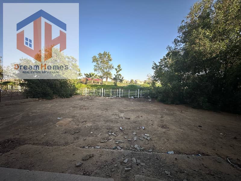 6 58e40945-5951-43b2-9820-d073f22fe411. jpg