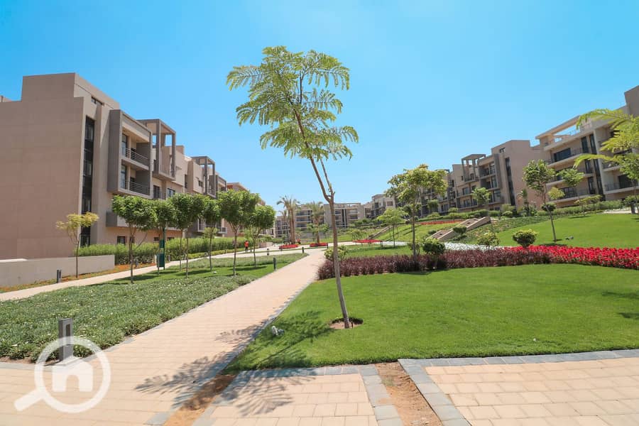 10 fifth square IMG_9433-copy. jpg