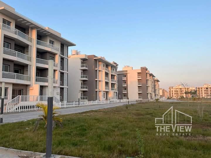 3 WhatsApp Image 2025-04-12 at 00.31. 23_f536af39. jpg