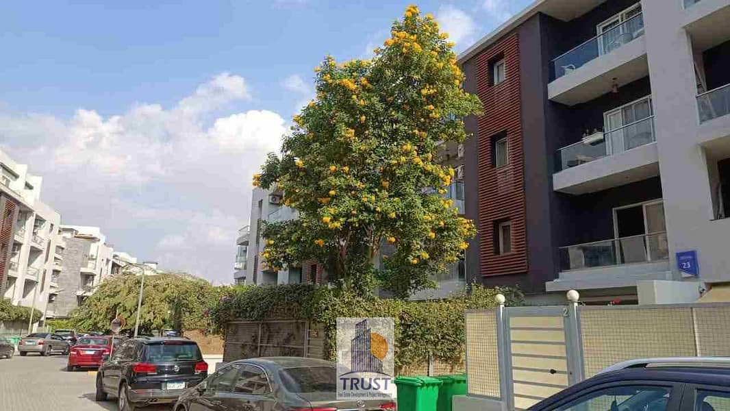 1000290586. jpg 1000290586. jpg