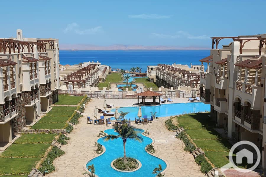 3 166096423_780883159492769_216830046172843206_o. jpg