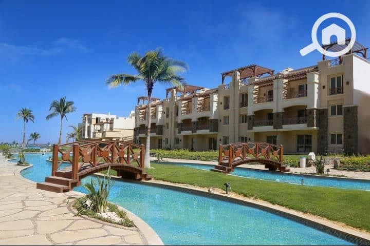 4 236888887_2996922543905597_355588057296838608_n. jpg