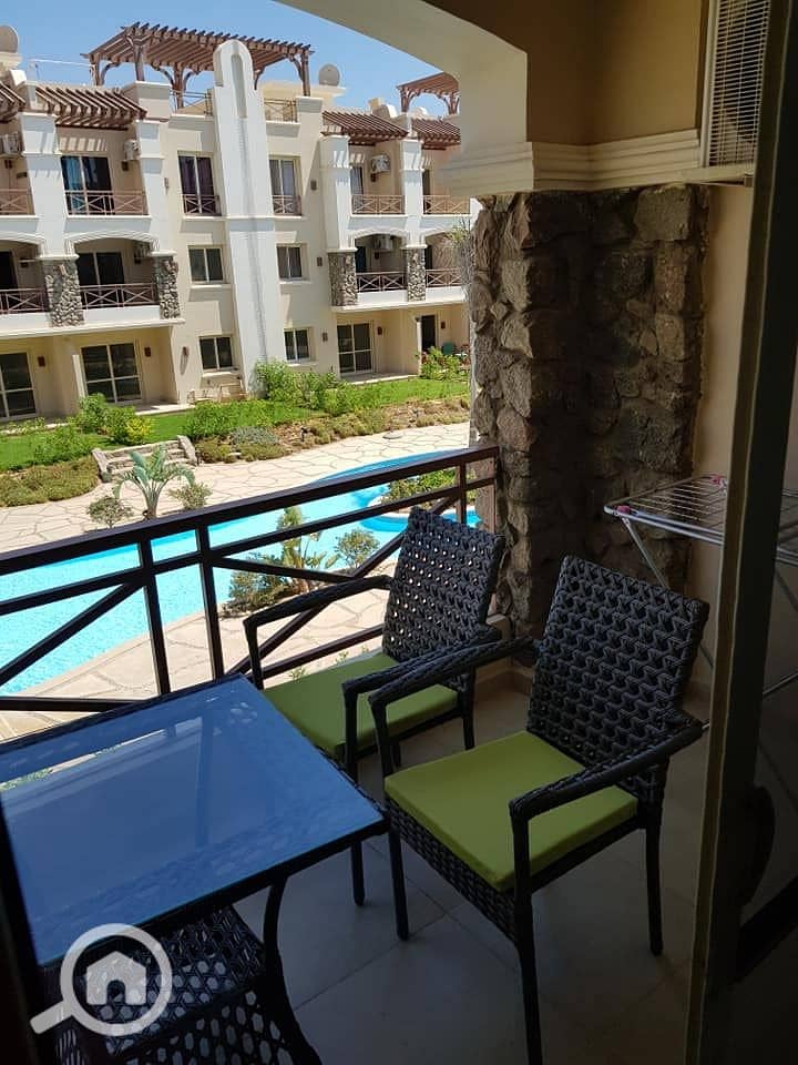 5 241486712_4288580967856495_7616702053006583755_n. jpg