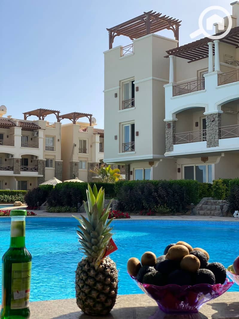 8 348845513_933876431162673_2020749419584350569_n. jpg