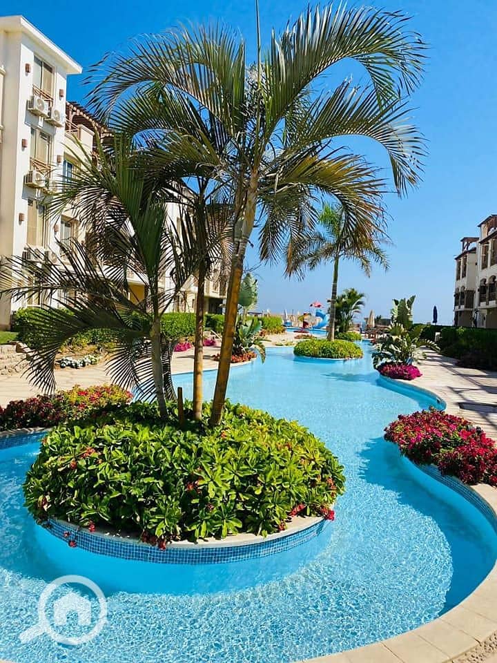 9 418438794_454800357138732_7690218753090840795_n. jpg