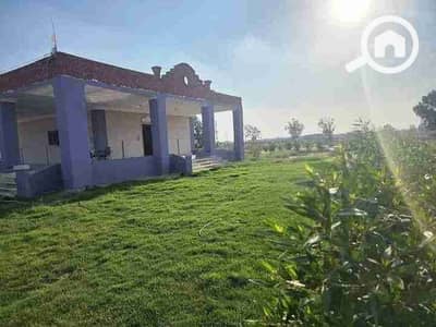 Commercial Land for Sale in 6th of October, Giza - 1000064636. jpg