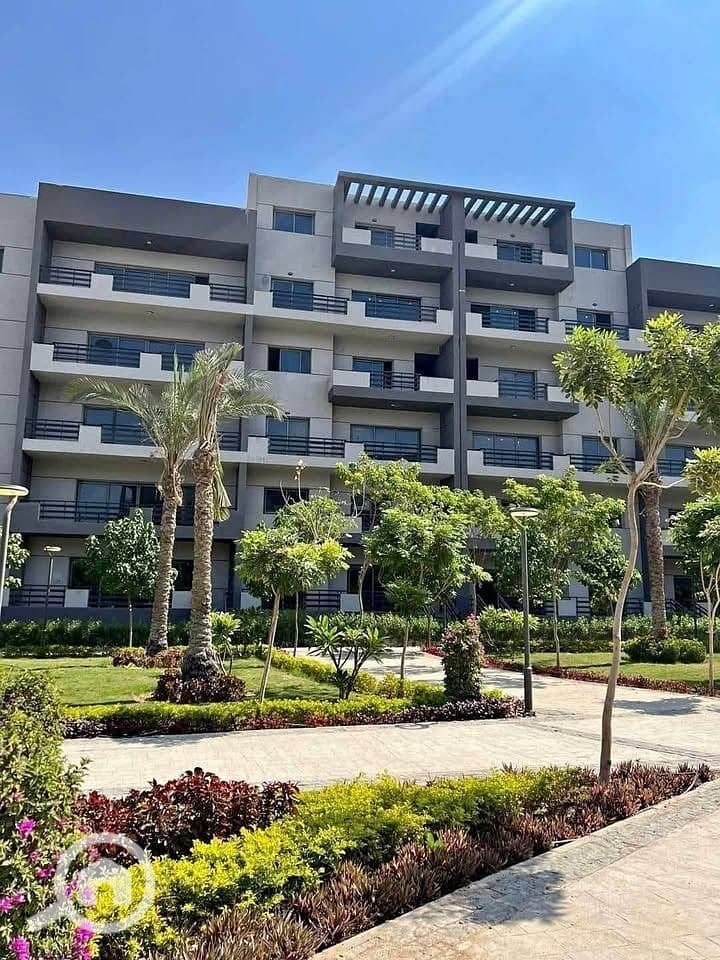 3 45c7dda9-81e7-4b2b-ad12-c5abc90d66c8. jpg