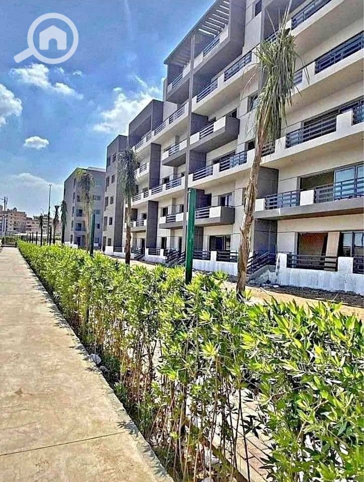 7 cf56f48e-2ada-41b2-850e-762bf6f30cc4. jpg