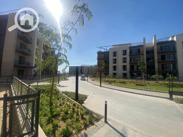 9 299361224_1249924792214230_5147727303191314938_n. jpg