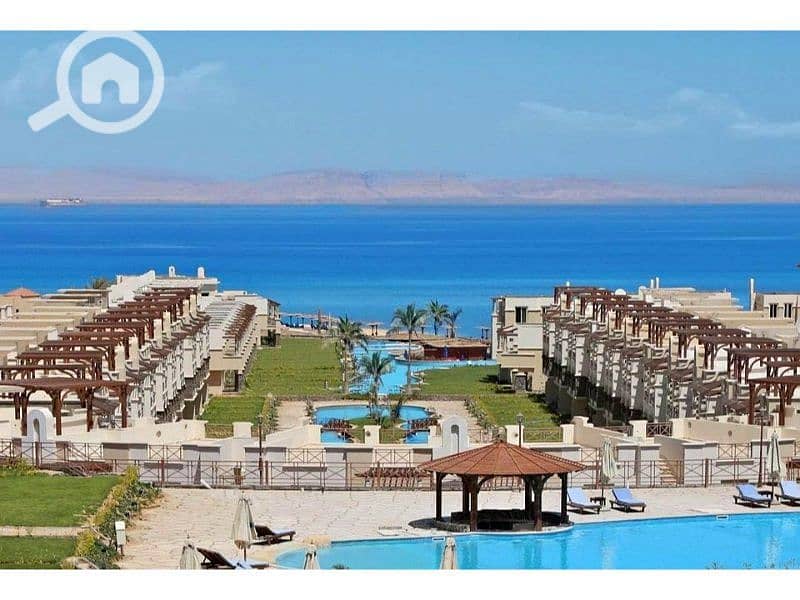 4 438237464_1459618991406905_932079030486365820_n. jpg