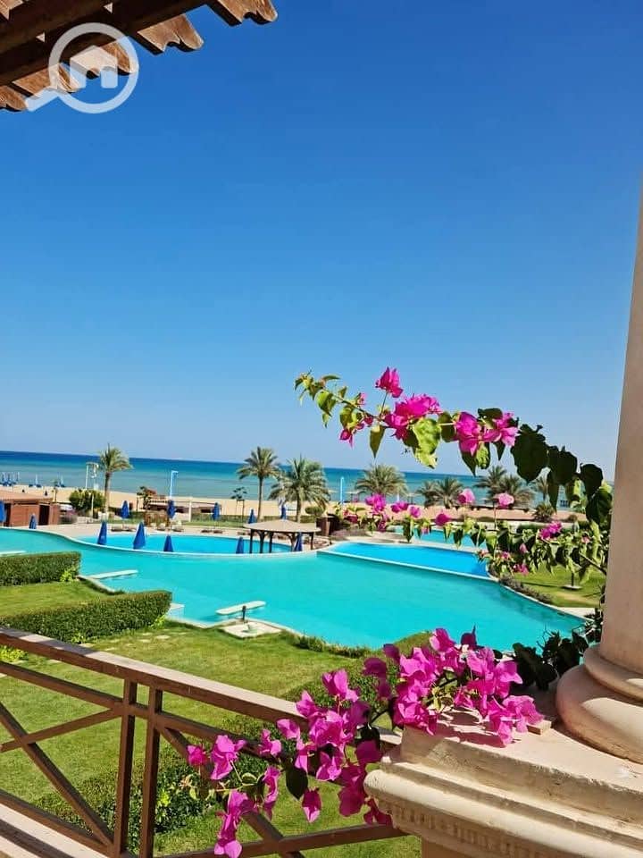 10 482549607_1177264407079578_6043210979916023795_n. jpg