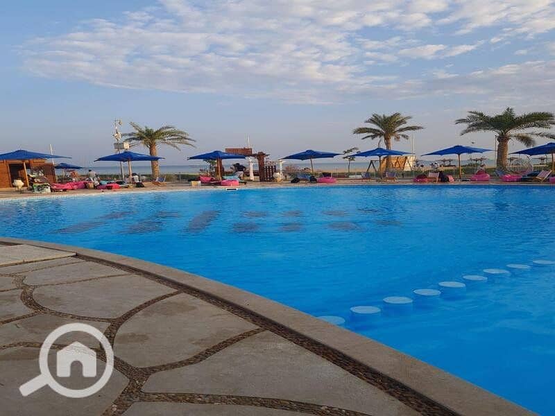 11 462871678_1288446039183269_2586293153088806110_n. jpg