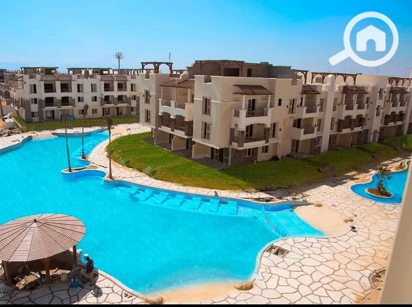 19 451962993_1189313402116493_3693814022794403988_n. jpg