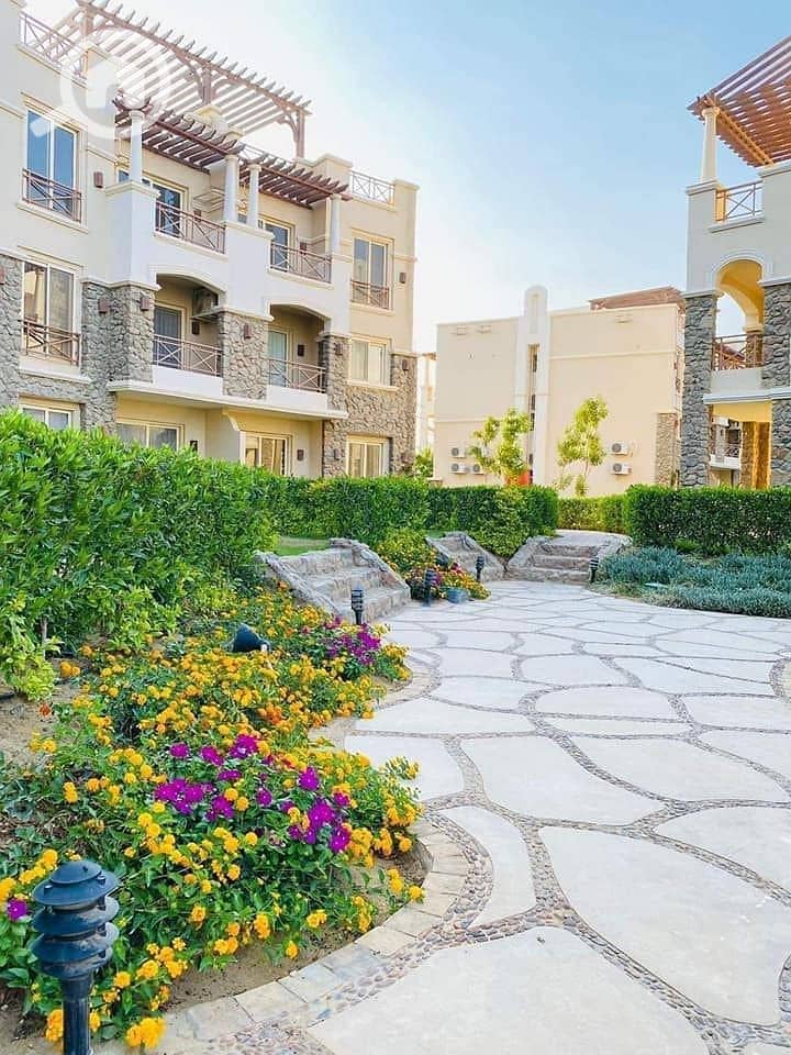 20 452049253_333335839838381_665122095359163758_n. jpg