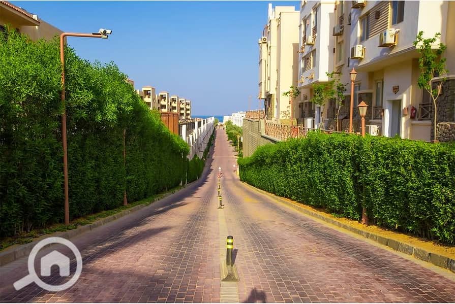 21 452963396_1524600251499698_5353635818607065348_n. jpg